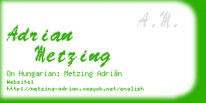 adrian metzing business card